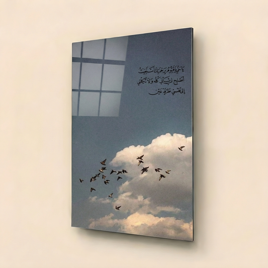 Coastal Light Balance