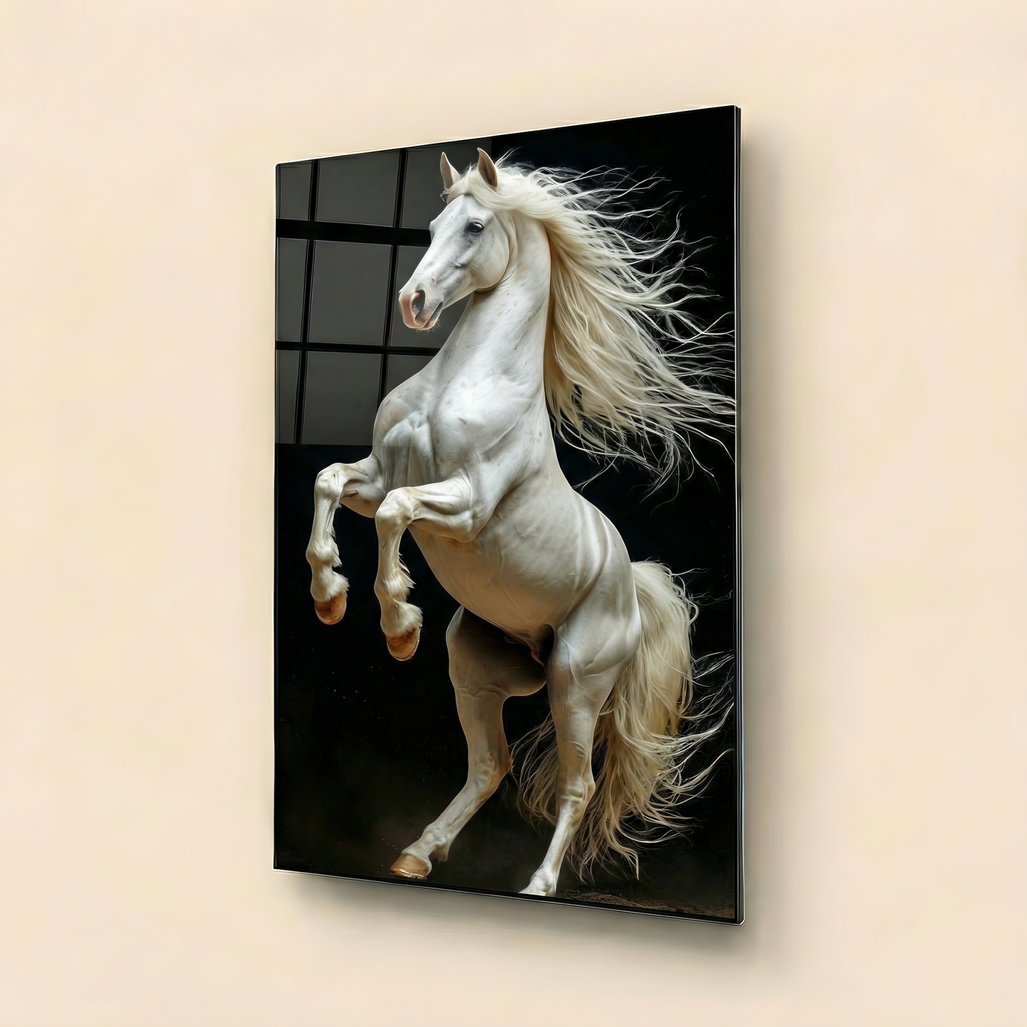Nur Stallion — Light in Contrast