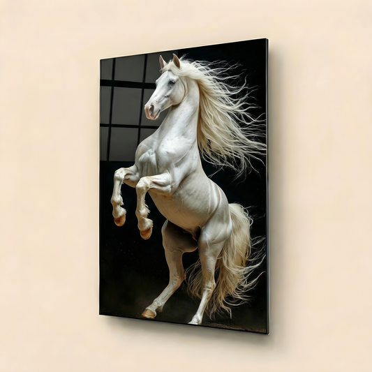 Nur Stallion — Light in Contrast